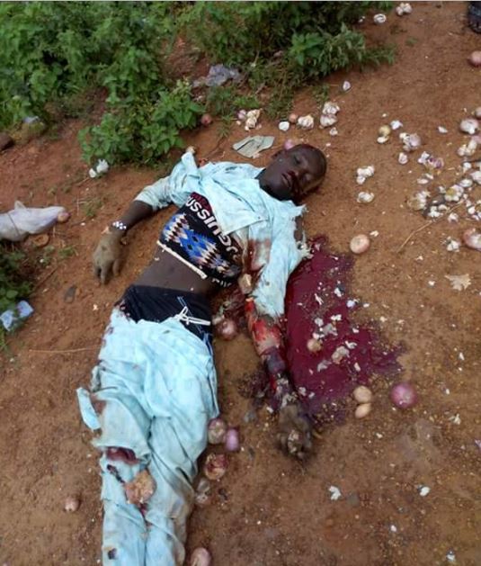 Many Killed, Others Injured As Truck Carrying Onions Crashes In Kogi (Graphic Photos)