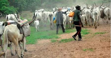 South-East Governors Ban Herdsmen And Cattle Movement In The Region