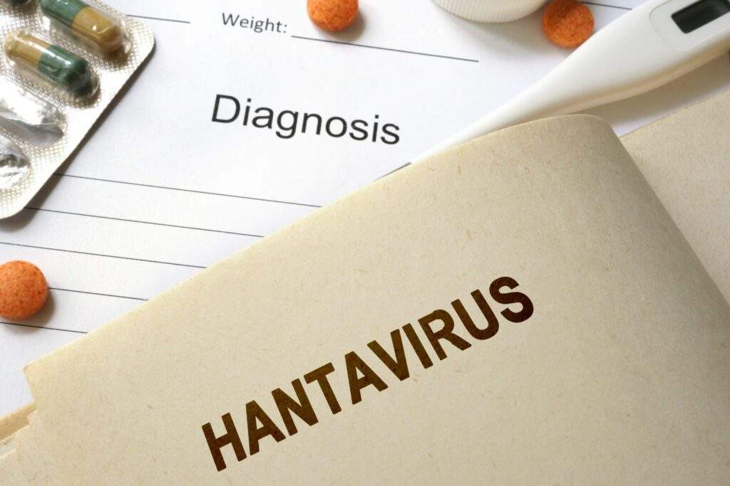 Hantavirus: Man dies in China after testing positive to another virus
