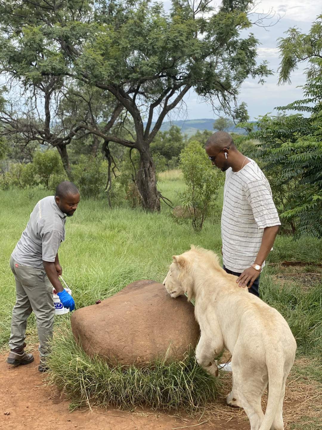 BBNaija's Omashola strikes a pose with LIONS! (Photos)