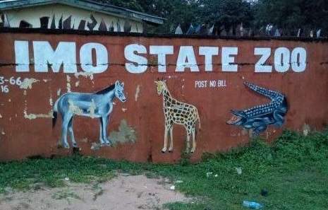 Hyena escapes from zoo in Imo State.