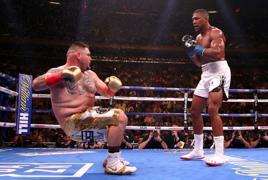 WBO reveals what will happen if Anthony Joshua defeated Andy Ruiz in rematch