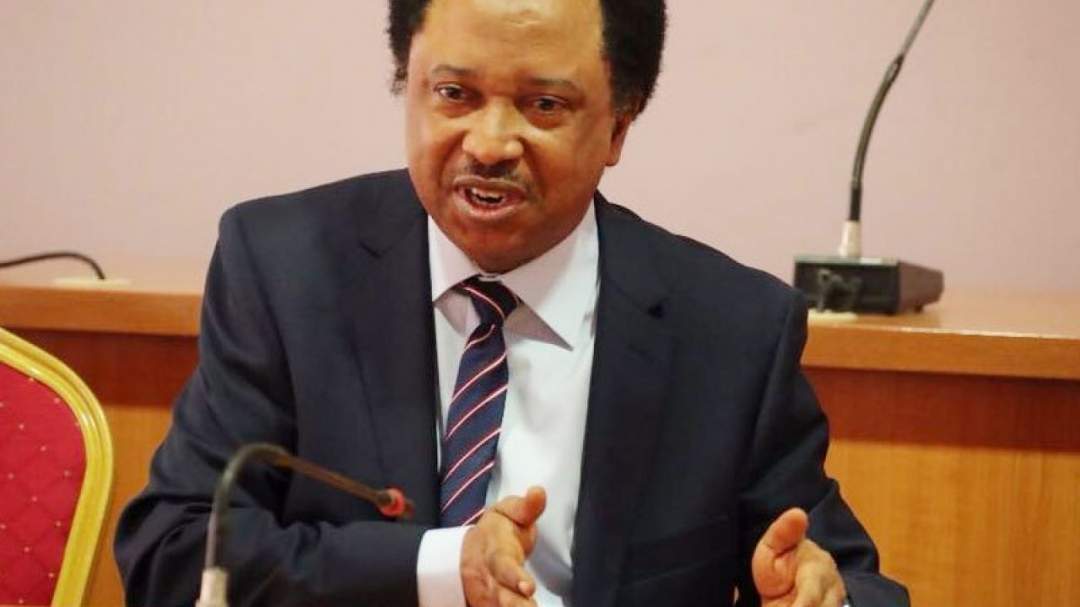 BBNaija: Shehu Sani reacts to Tacha's exit, reveals housemate he's supporting