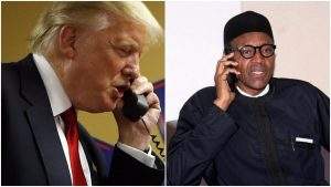 COVID-19: Details of Trump's phone conversation with Buhari emerge