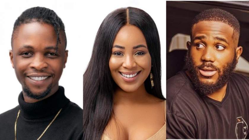 BBNaija 2020: What Laycon advised Erica after break up with Kiddwaya