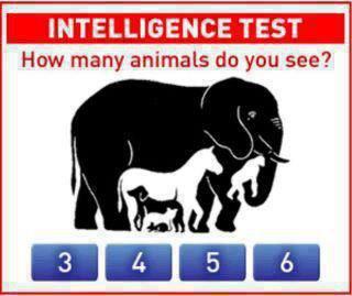 how many animals can u see in dis picture!!! FUN
