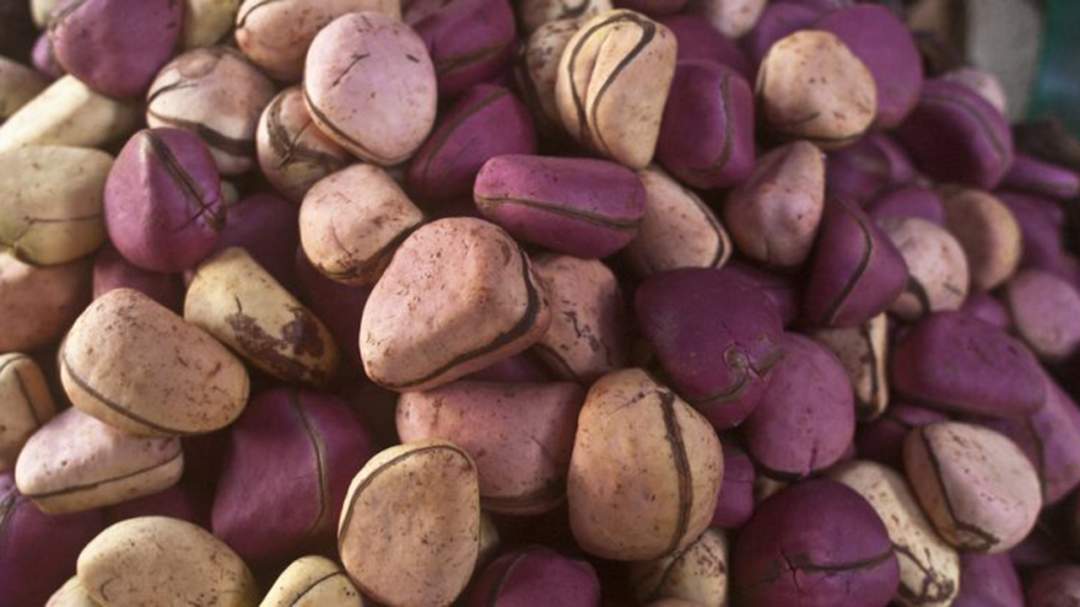 6 Unknown Health Effects Of Kola Nuts