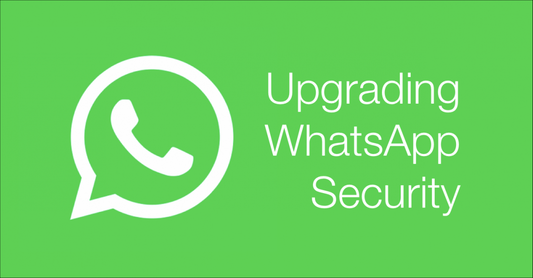 Not Upgrading Your Whatsapp Could Lead To It Getting Hacked