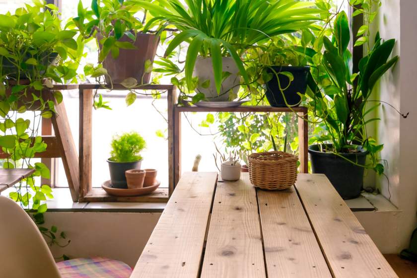6 Ways To Effectively Get Rid Of Indoor Air Pollution