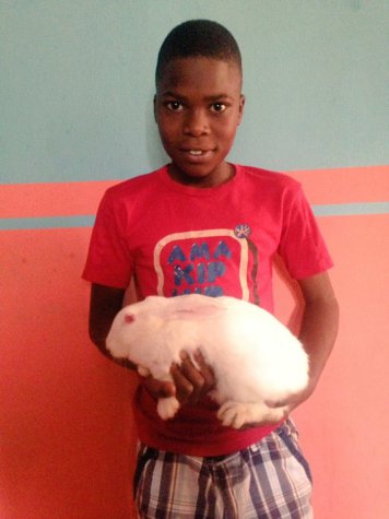 12-year-old Nigerian Boy Raised 2 Rabbits And Nurtured Them Into 26, Plans To Expand The Rabbit Business (Photos)