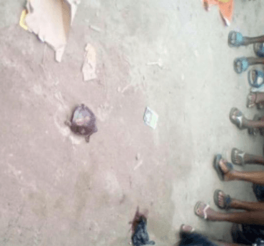 Shock after Woman allegedly gives birth to tortoise in Rivers State (Photos)