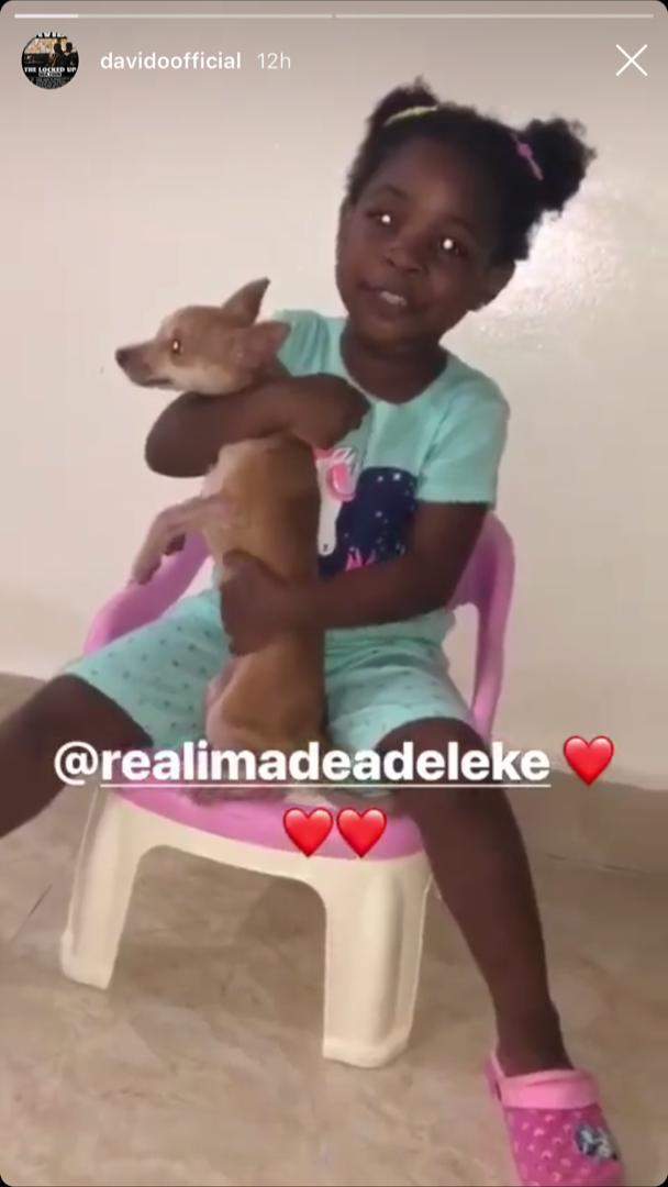 Davido buys a Pet Dog for his daughter, Imade