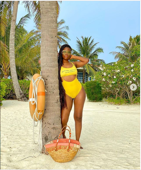 Davido's Babymama, Sophia Momodu Shares New Photos