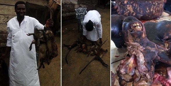 What Monkeypox?! Nigerian Man Prepares Monkey Pepper Soup. (Photos)