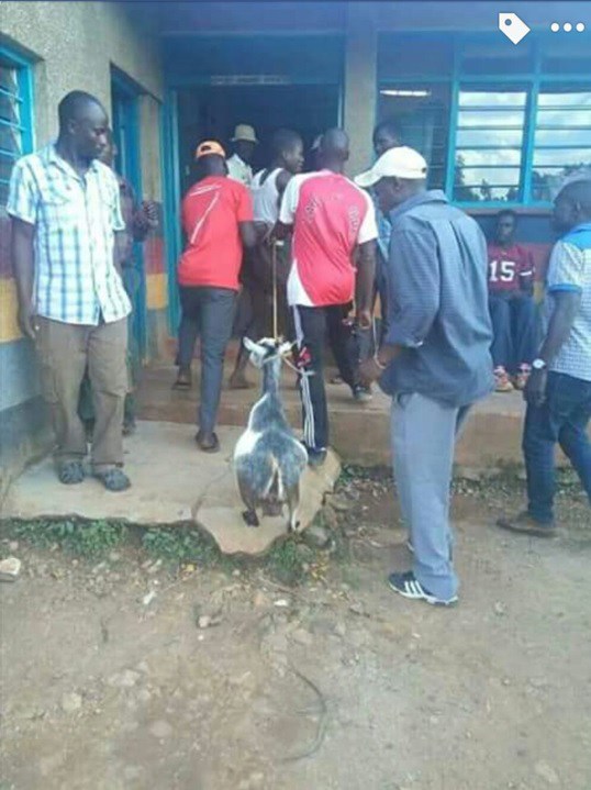 Kenyan man dragged to the police station after he was caught having s*x with a goat