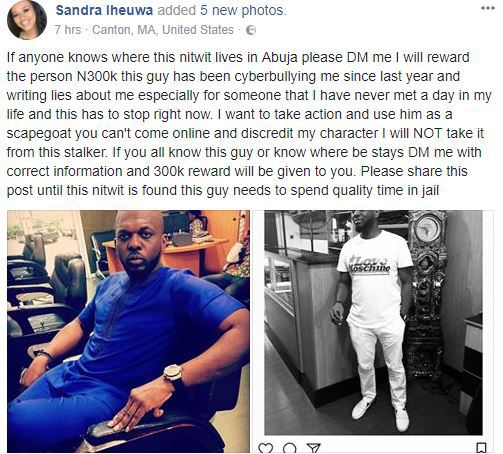 Nigerian Lady calls out cyberbully, offers N300,000 to anyone who knows him