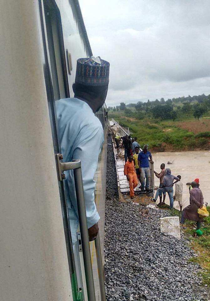 Photos of cows crushed to death by Abuja bound train as 52 die