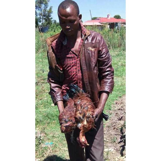 Man rapes two of his neighbor's hen to death