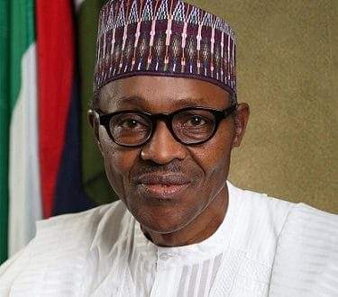 'Complaining about Buhari's certificate shows you are idle' - Presidency