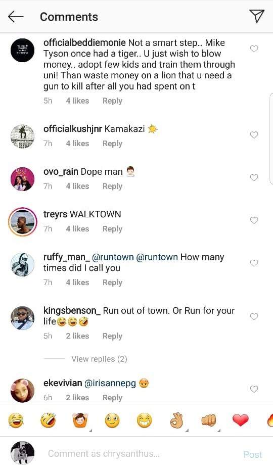 Davido, Phyno, Simi and other celebrities react after Runtown showed off his new pet Lion