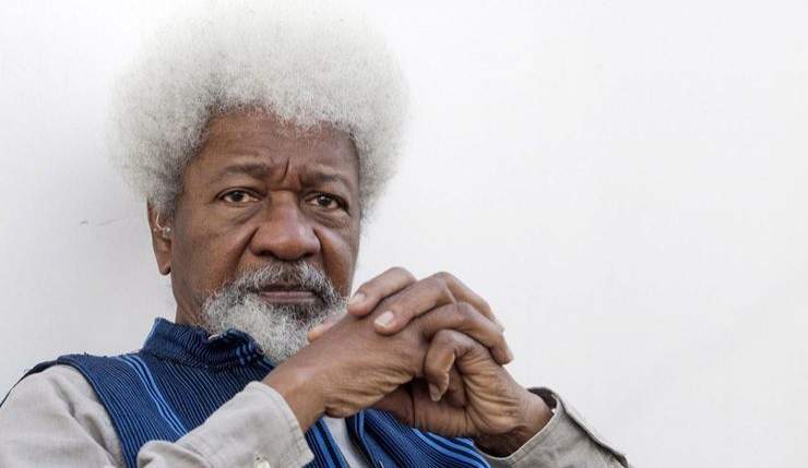 Nigeria is building a generation of illiterates - Wole Soyinka