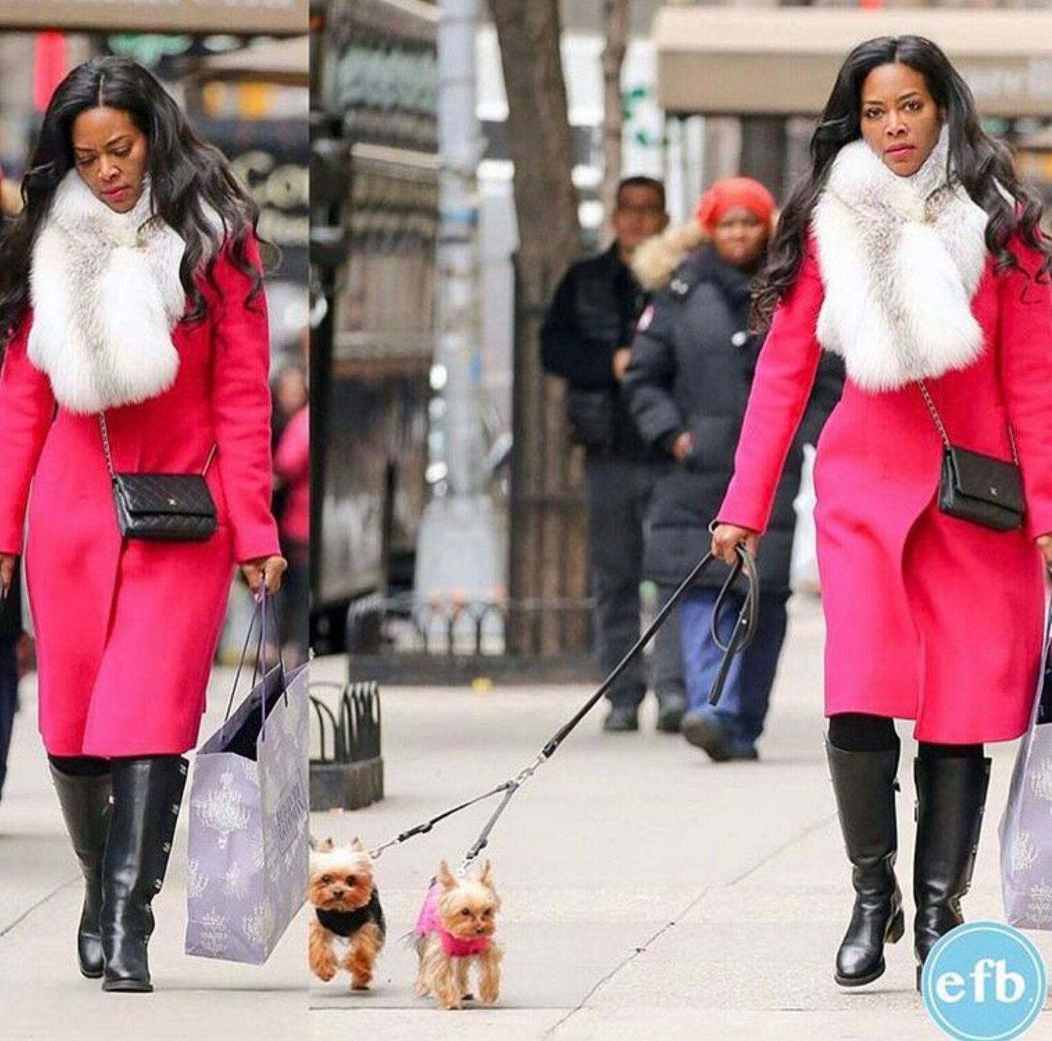 Kenya Moore with her pets