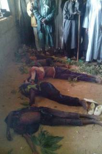 Photos: 6 Fulani Herdsmen Killed And Beheaded And Their Heads Taken Away In Plateau state
