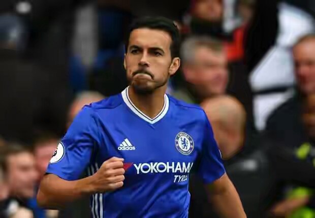 Pedro Pedro
