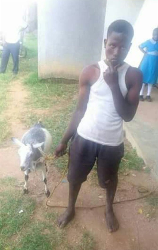 Kenyan man dragged to the police station after he was caught having s*x with a goat