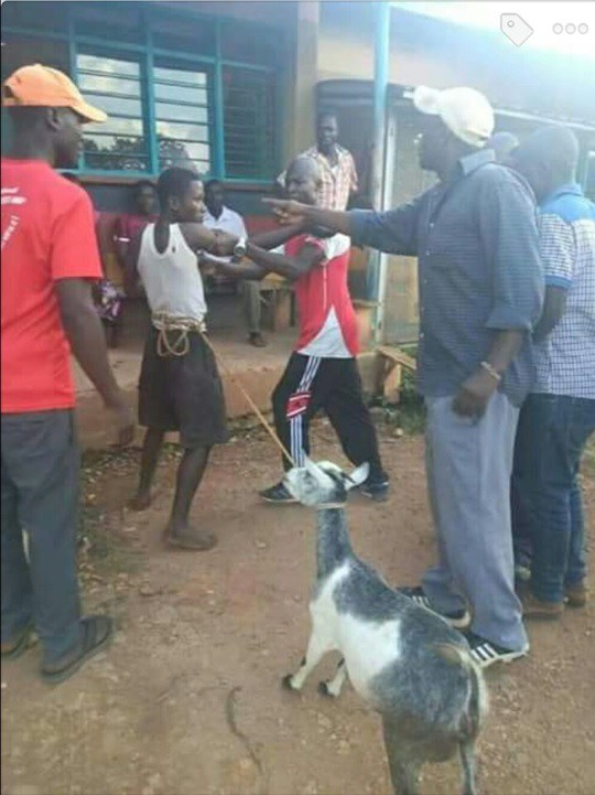 Kenyan man dragged to the police station after he was caught having s*x with a goat