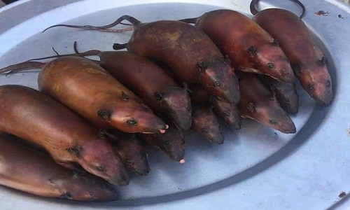 This Photo Of A Woman Spotted Selling 'Tasty' Roasted Rats Has Got A Lot Of People Talking!