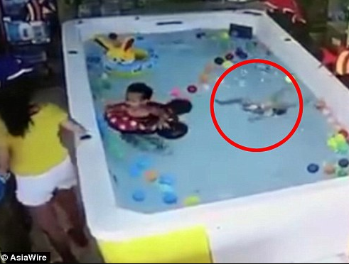 Horrifying moment one year old girl drowns on her birthday while her mother was nearby texting on her phone (Video)