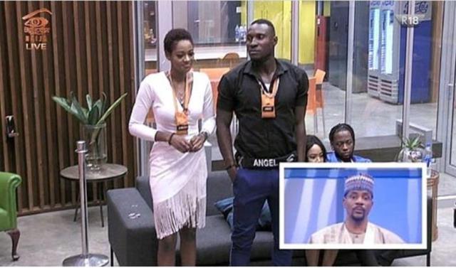 #BBNaija: Nigerians React As Ahneeka And Angel Get Evicted From The House.