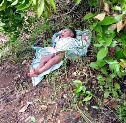 Abandoned Baby rescued after being found by roadside with ants all over his body