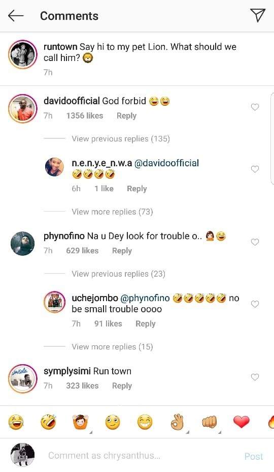 Davido, Phyno, Simi and other celebrities react after Runtown showed off his new pet Lion