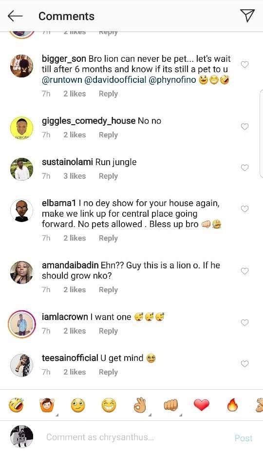 Davido, Phyno, Simi and other celebrities react after Runtown showed off his new pet Lion