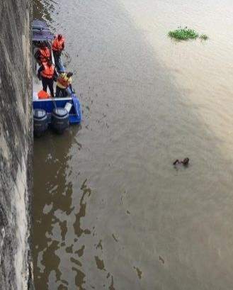 Man parks car on Third Mainland Bridge, jumps into lagoon (photos)