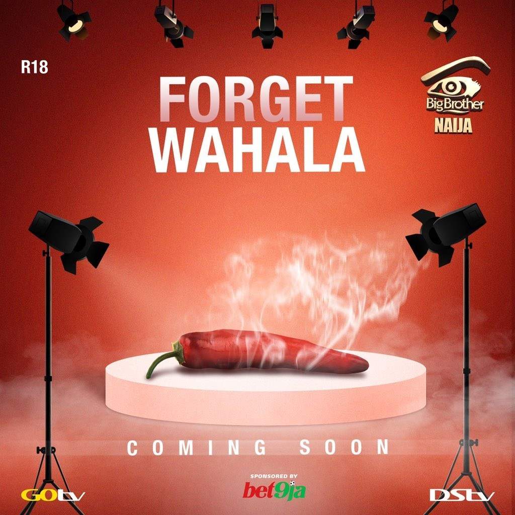 BBNaija 2019 'Forget Wahala' - Fans teased with this year's theme