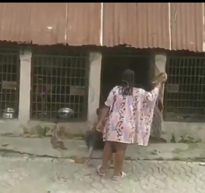Outrage as Nigerian lady is videoed flogging a child and locking him up in cage with fierce dogs