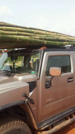 Hummer Jeep Spotted In Nigeria Being Used To Transport Bamboo Sticks