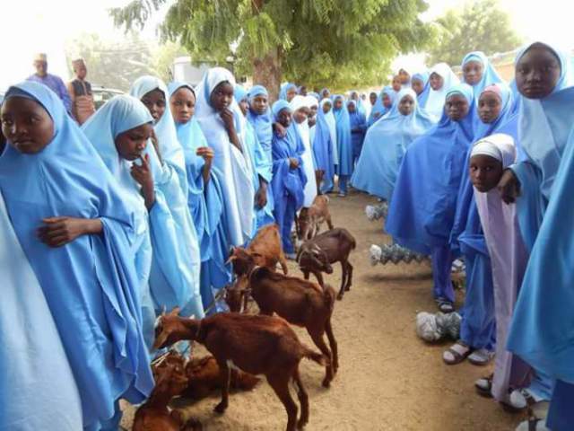 The beneficiaries of the goats lined up with their goats at GGASS Dutsinma on Saturday, November 11, 2017. Credit: Katsina Post Hausa