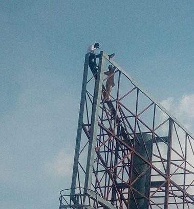Police arrest Adamawa man who climbed billboard hanger with threats to commit suicide if Buhari doesn't vacate his office