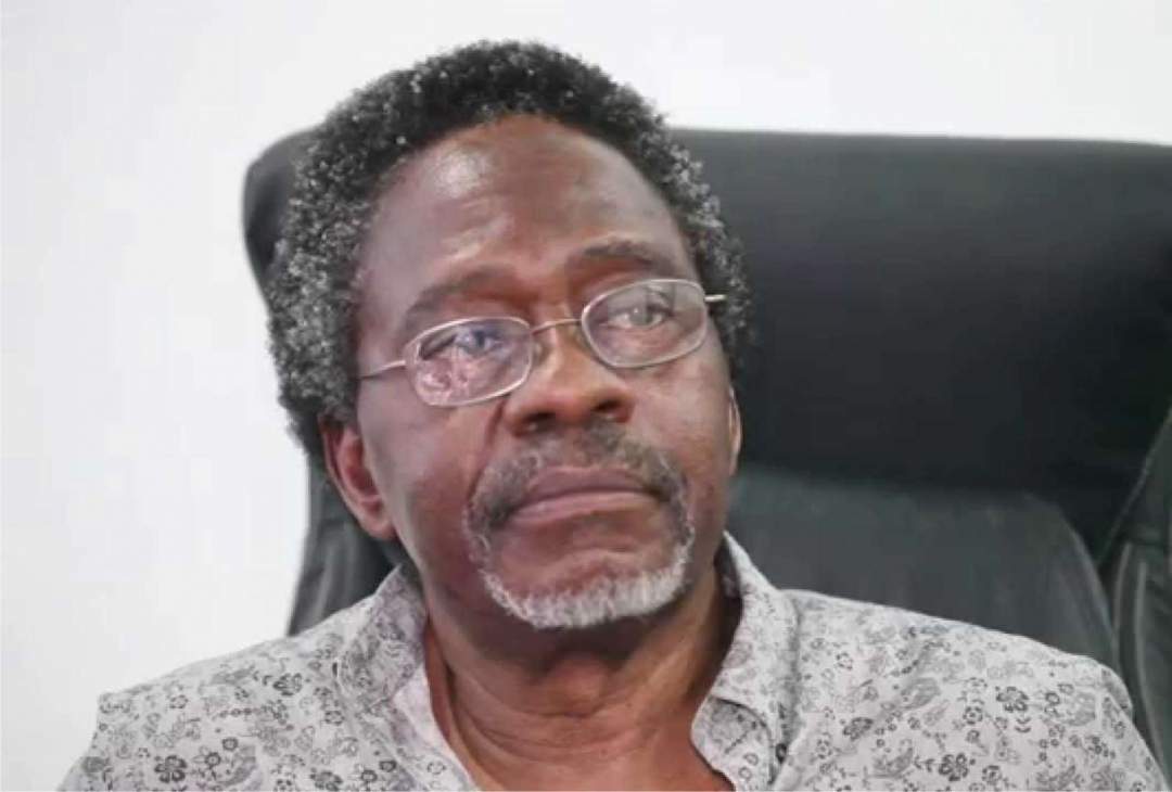 'Nigeria must discard 1999 constitution to make progress' - Professor of International Law, Akin Oyebode