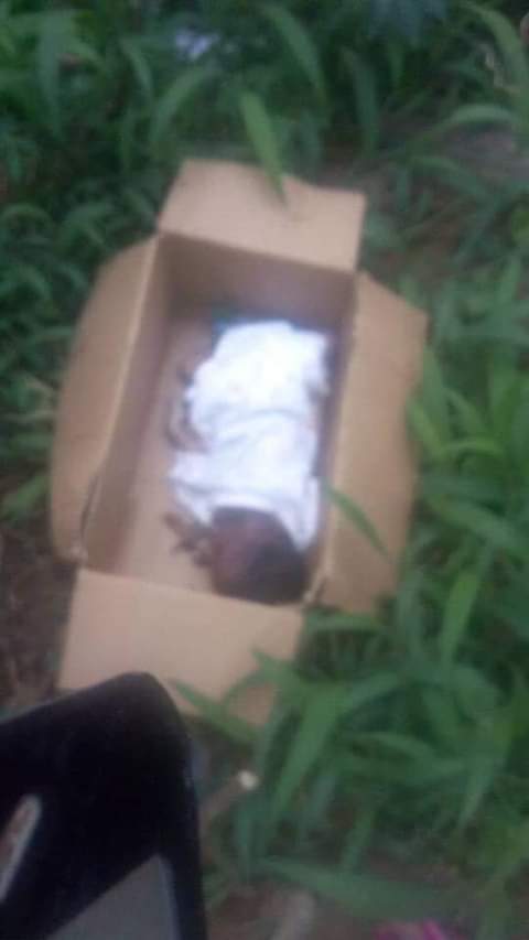 Dead newborn baby found dumped beside an Anglican church in Anambra (Photos)
