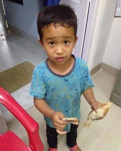 Indian boy runs over chicken, takes it to hospital with his pocket money