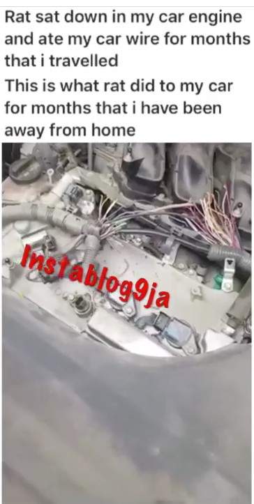 Nigerian man reveals what rats did to his Lexus SUV (Video)