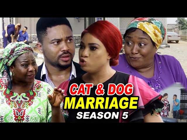 Nollywood Movie: Cat & Dog Marriage (2020) (Part 5 & 6)