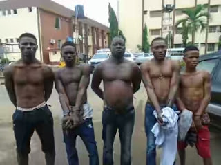 No Bullet Can Penetrate My body - Cult Suspect
