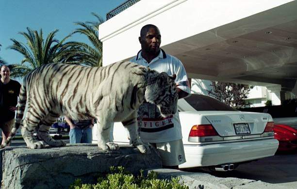 Boxing legend Tyson narrates awful ordeal that happened when a woman jumped his fence to face his 3 tigers