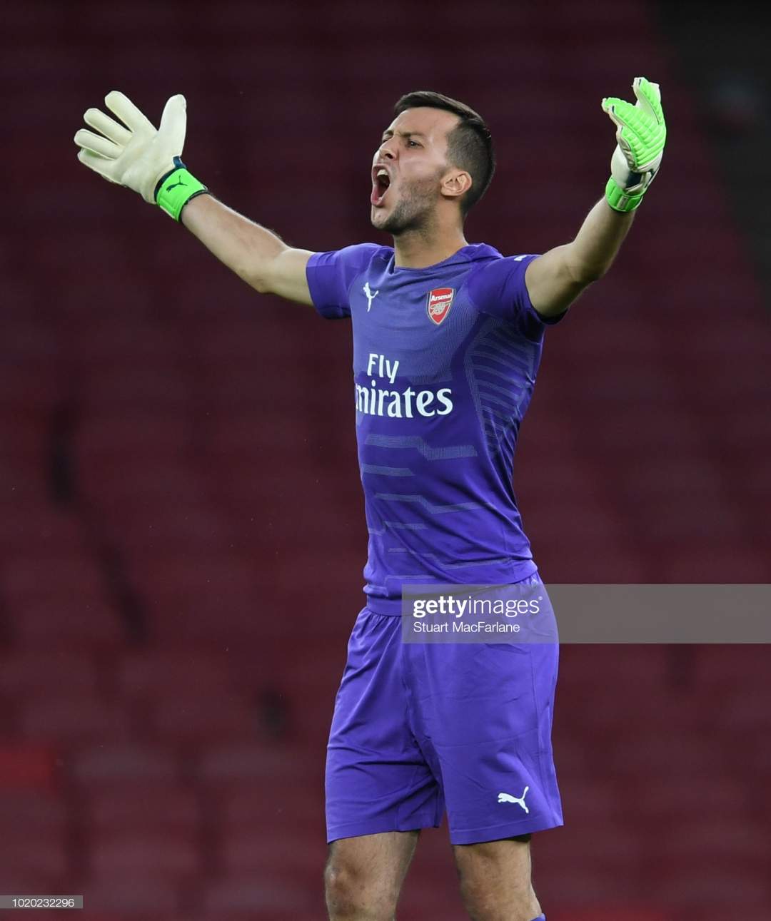 EPL: Arsenal goalkeeper joins another club